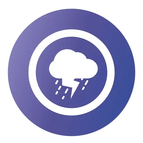 Service Cause: Disaster Relief