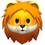 Lion Face